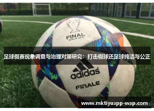 足球假赛现象调查与治理对策研究：打击假球还足球纯洁与公正