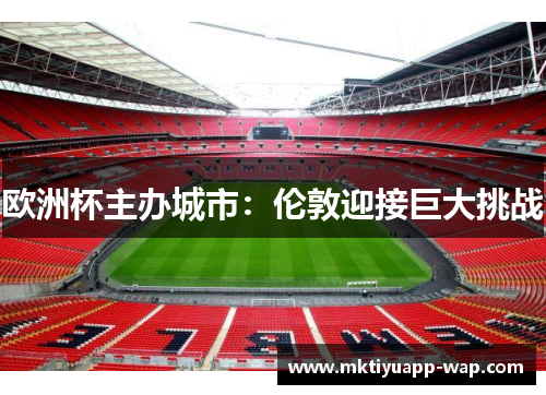 欧洲杯主办城市：伦敦迎接巨大挑战