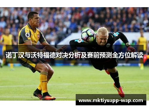 诺丁汉与沃特福德对决分析及赛前预测全方位解读